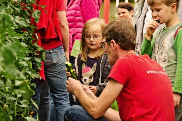 Kinder entdecken bei einer Hoftour die Gärtnerei auf Gut Wulksfelde und probieren frisch geerntete Gurken